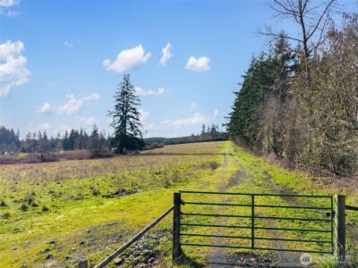 0 XXX Hale Road , Winlock, WA 98596 - Photo 26