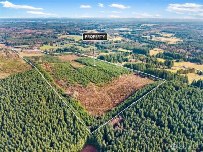 0 XXX Hale Road , Winlock, WA 98596 - Photo 5