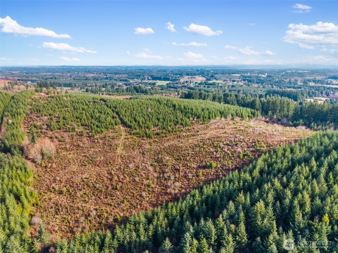 0 XXX Hale Road , Winlock, WA 98596