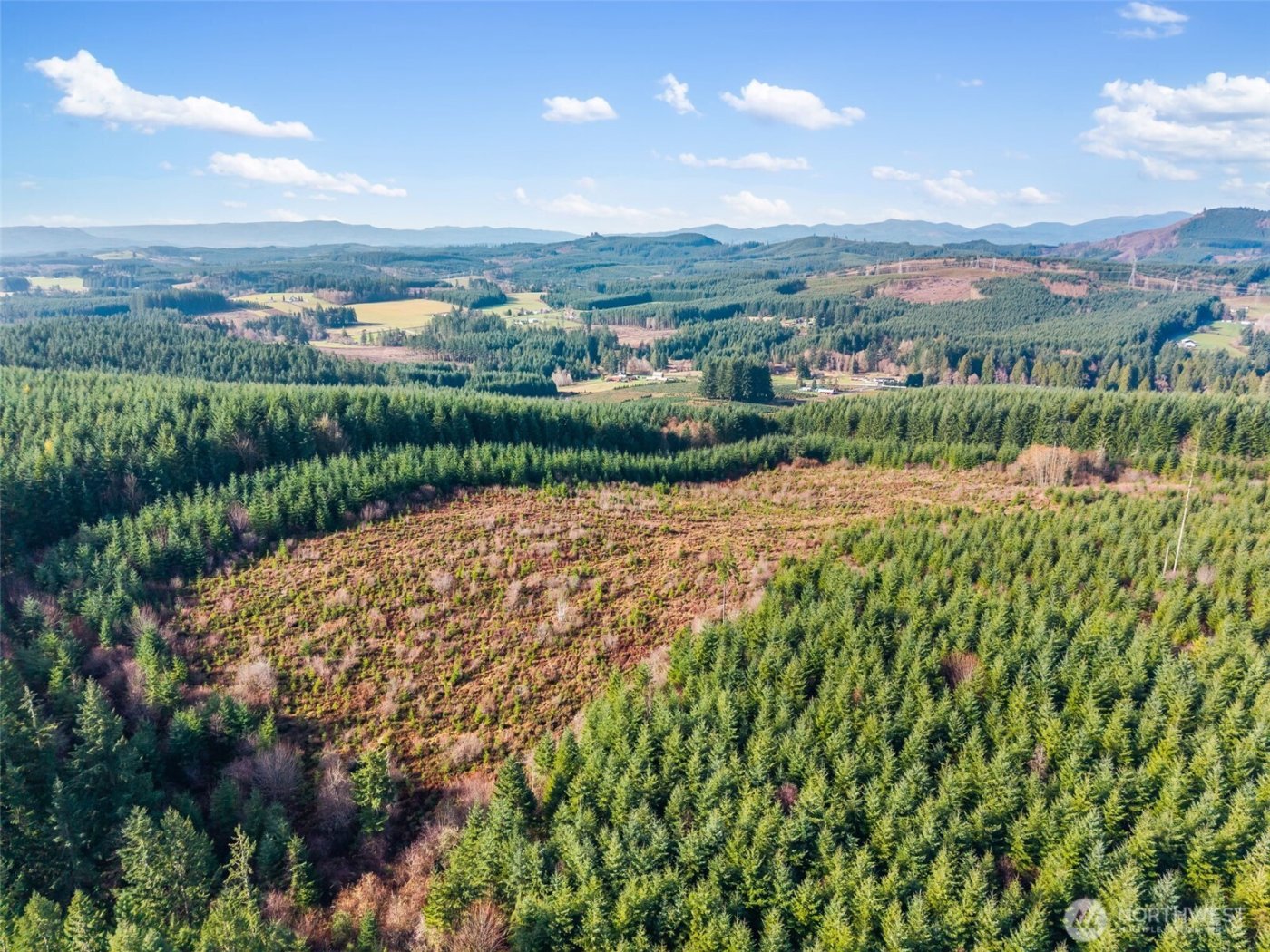 0 XXX Hale Road , Winlock, WA 98596