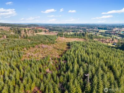 0 XXX Hale Road , Winlock, WA 98596 - Photo 8