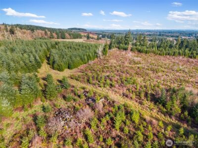 0 XXX Hale Road , Winlock, WA 98596 - Photo 9