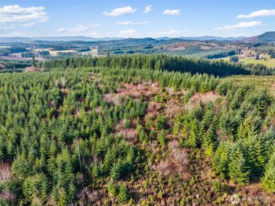 0 XXX Hale Road , Winlock, WA 98596 - Photo 10