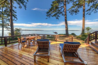 285 Raptor Road , Orcas Island, WA 98245 - Photo 36