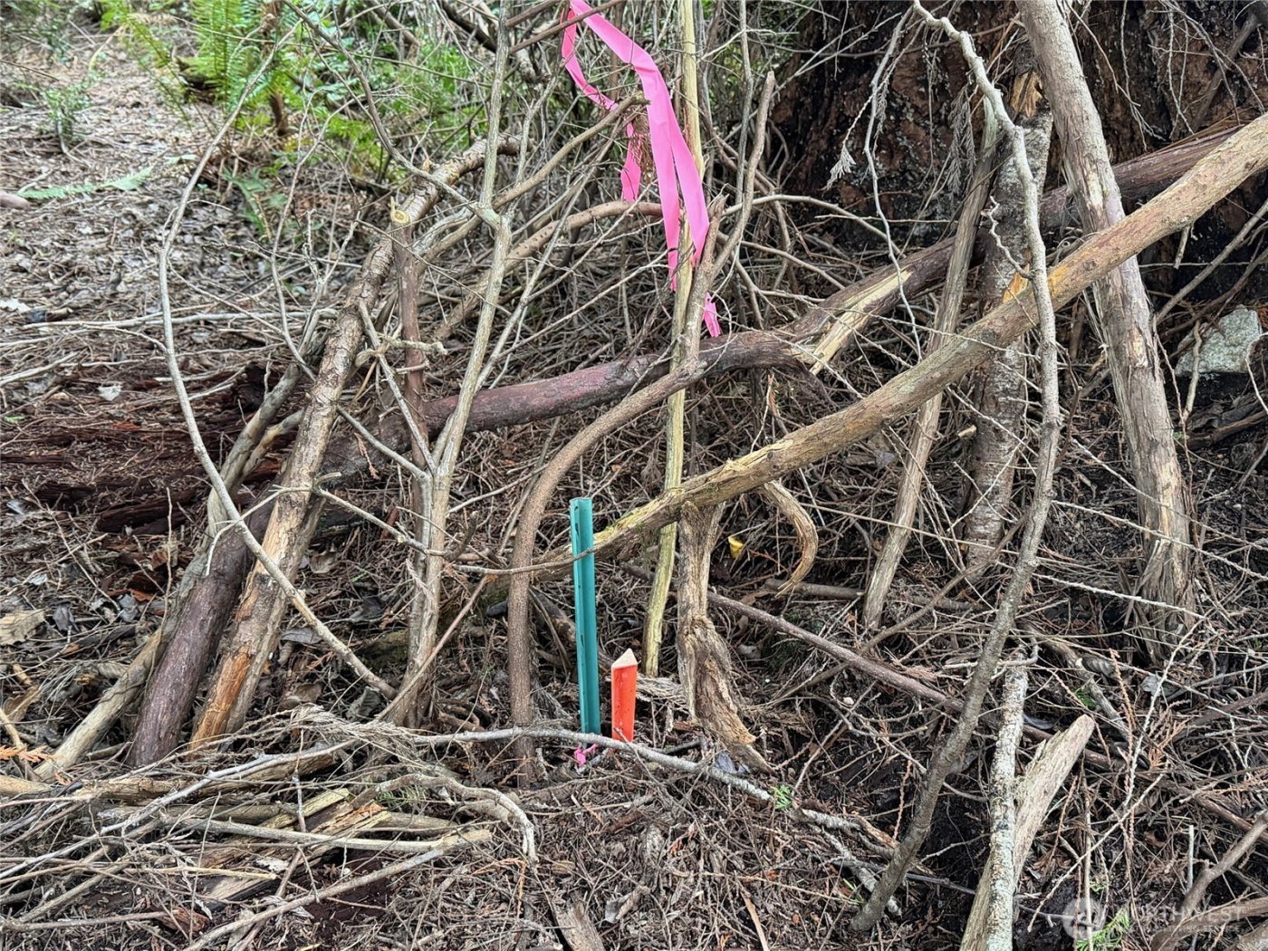 17680 Hallman Road NW, Poulsbo, WA 98370