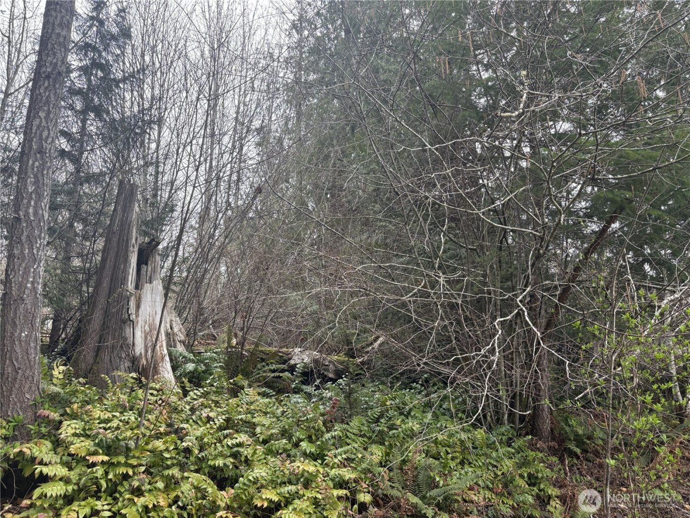 0 SE Fuchsia Avenue , Shelton, WA 98584