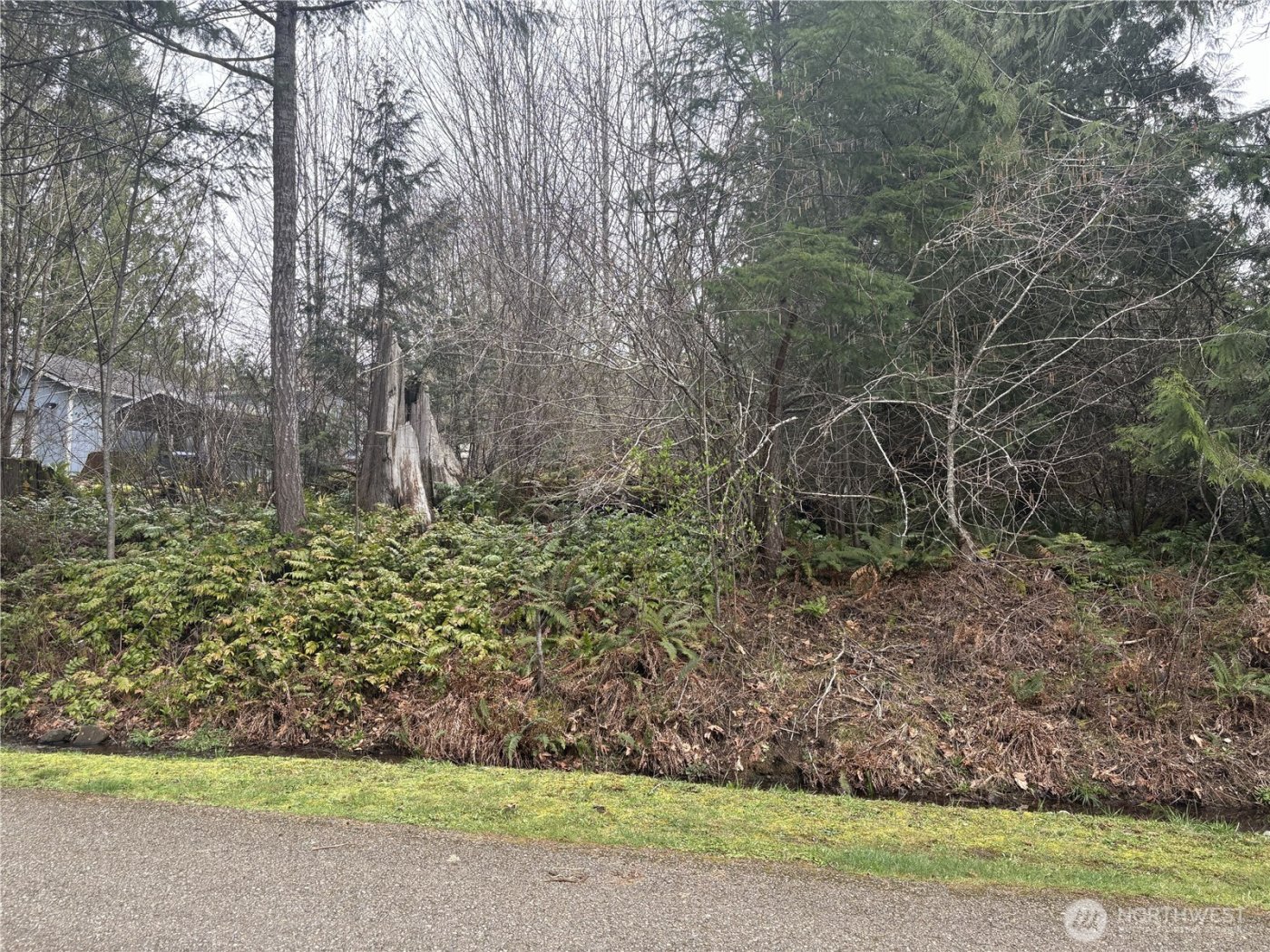 0 SE Fuchsia Avenue , Shelton, WA 98584