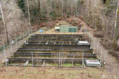 17612 219th Avenue E, Orting, WA 98360 - Photo 13