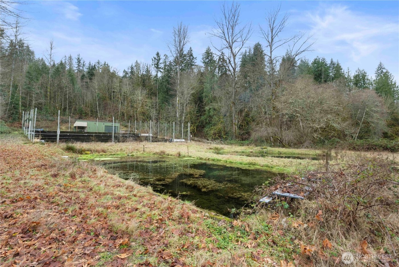 17612 219th Avenue E, Orting, WA 98360