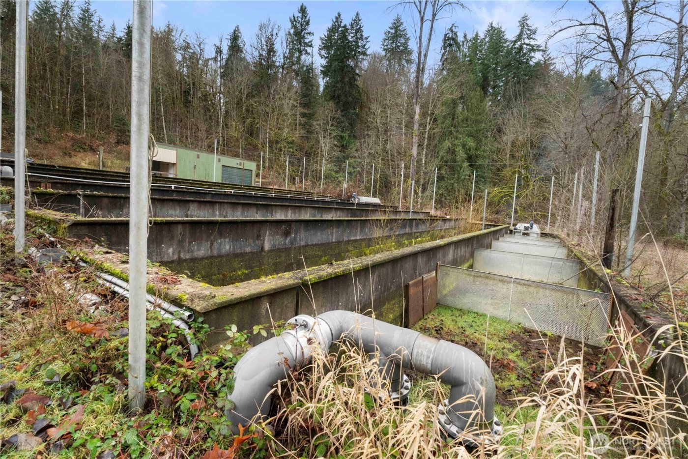 17612 219th Avenue E, Orting, WA 98360