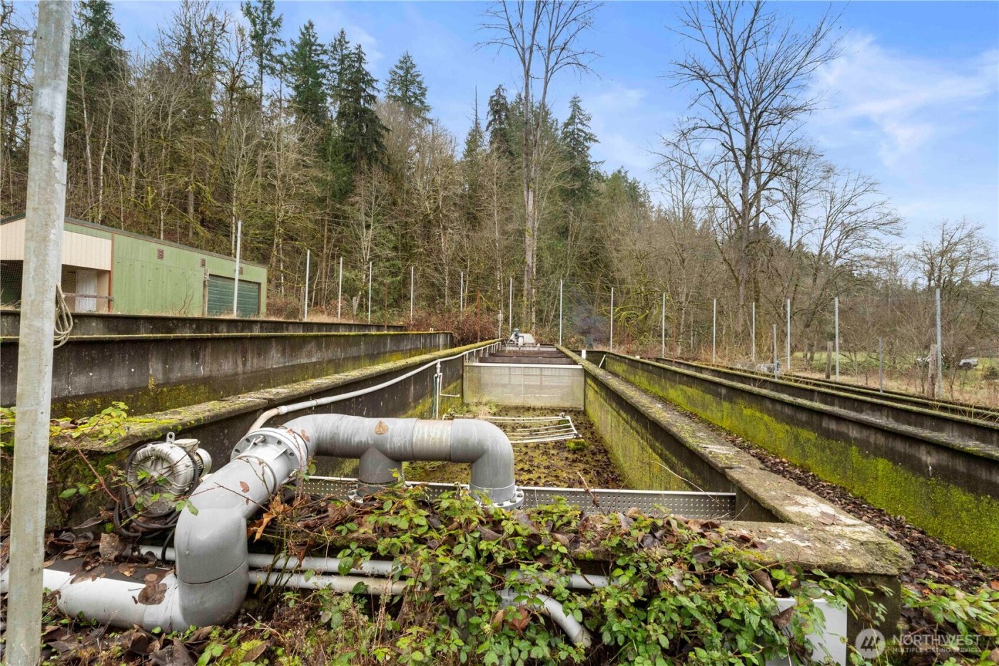 17612 219th Avenue E, Orting, WA 98360