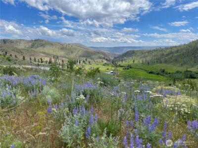 436 Antoine Creek Road #Lot I, Chelan, WA 98816
