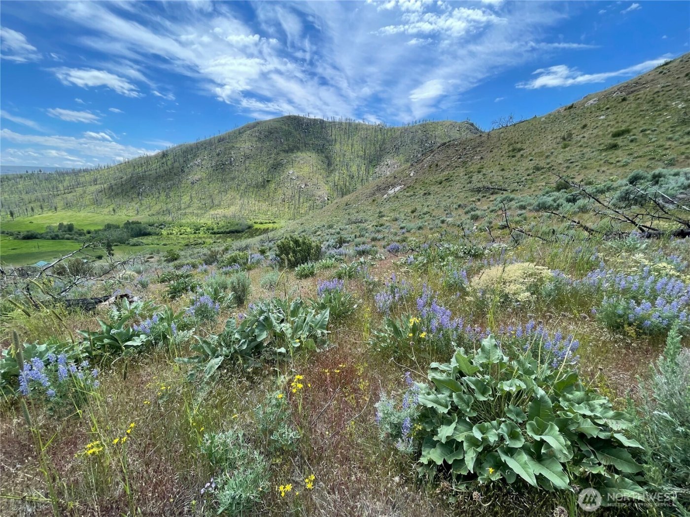 436 Antoine Creek Road #Lot I, Chelan, WA 98816