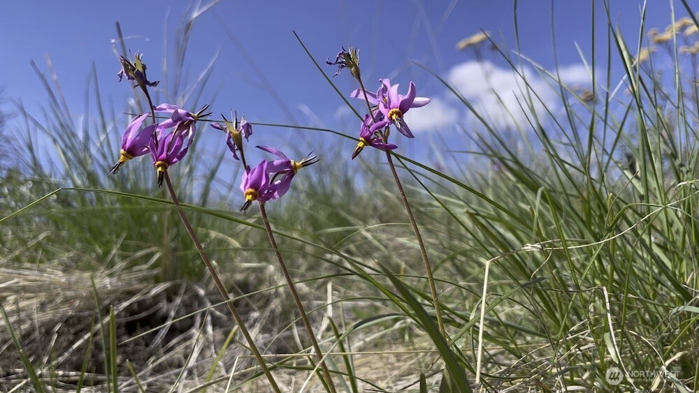 436 Antoine Creek Road #Lot I, Chelan, WA 98816