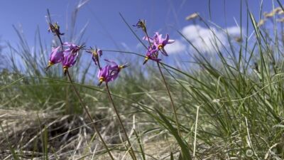 436 Antoine Creek Road #Lot I, Chelan, WA 98816 - Photo 16