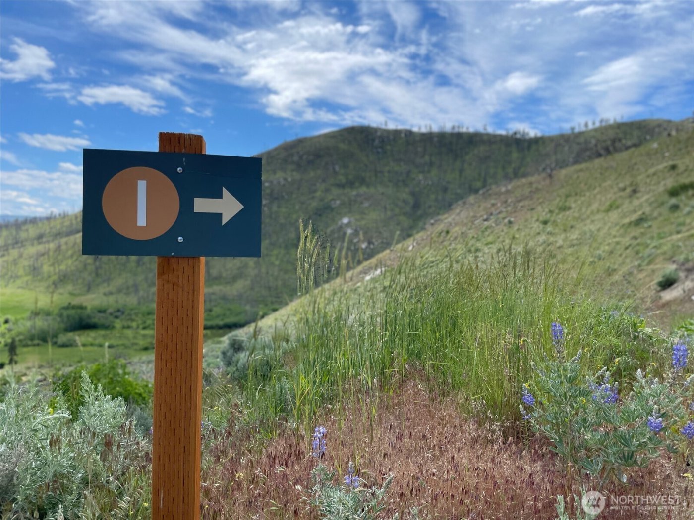 436 Antoine Creek Road #Lot I, Chelan, WA 98816