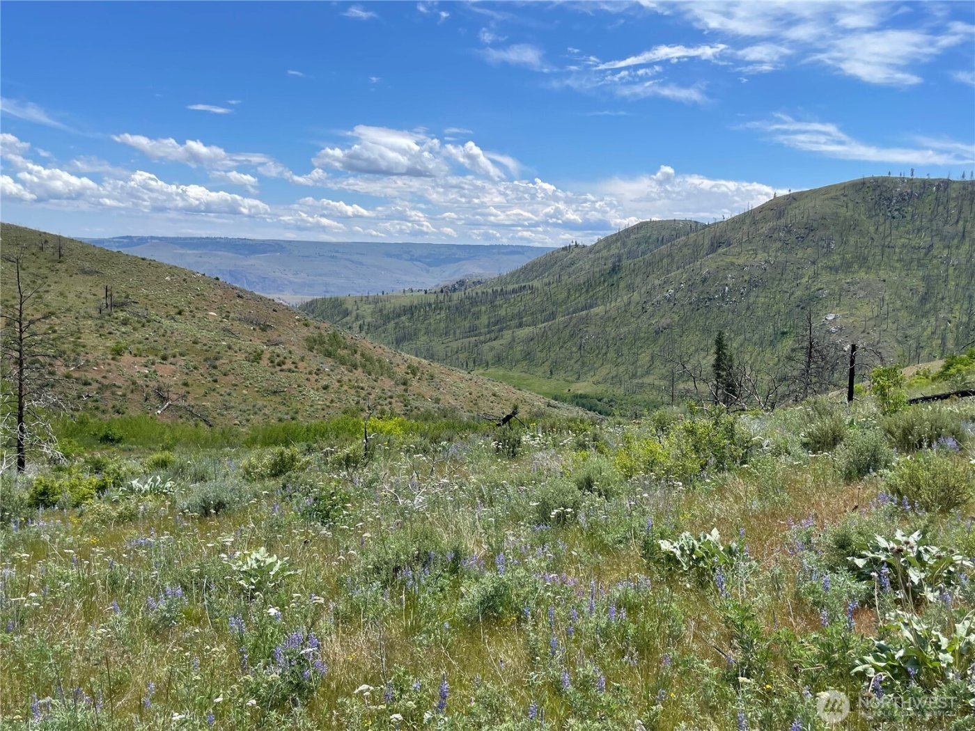 436 Antoine Creek Road #Lot E, Chelan, WA 98816