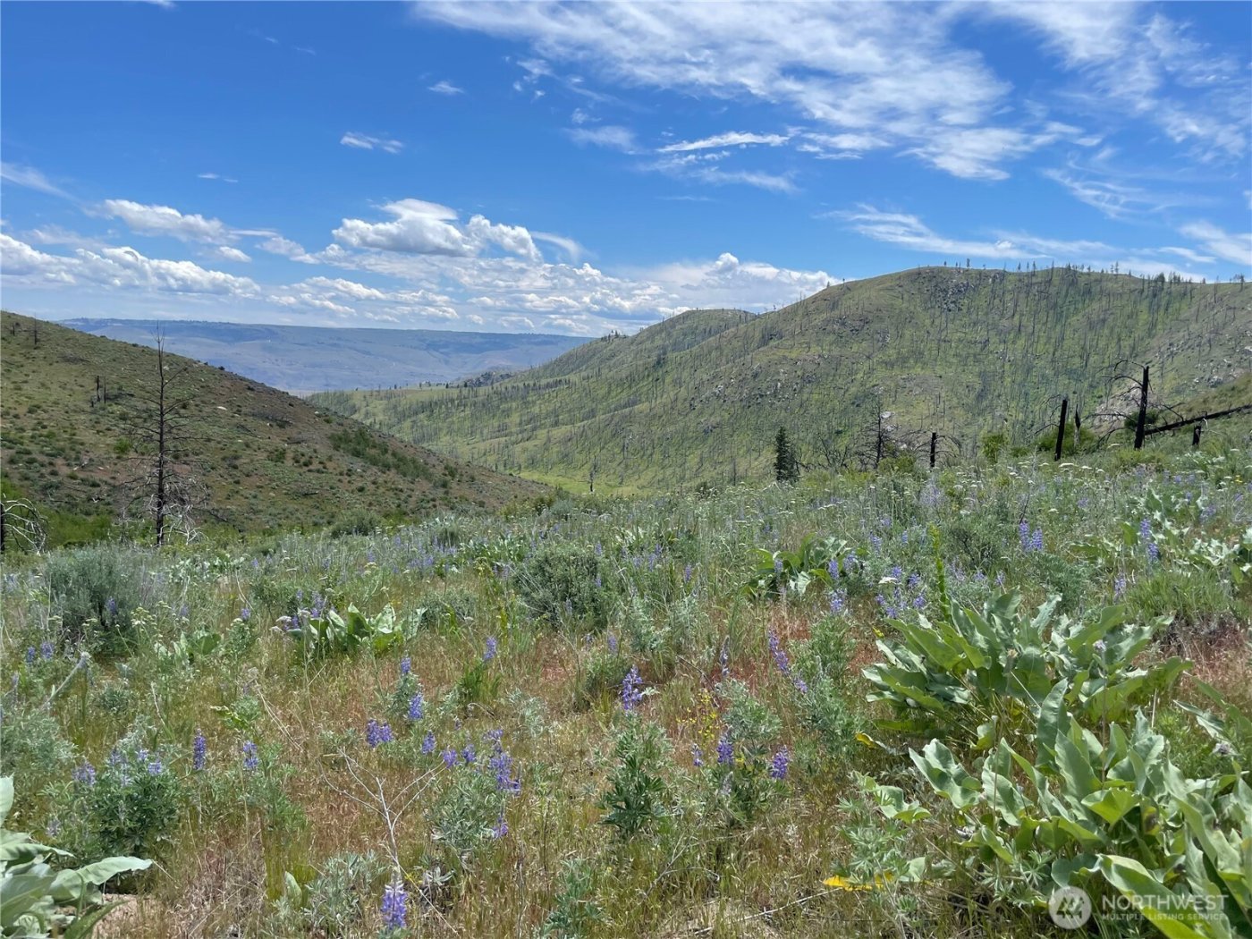 436 Antoine Creek Road #Lot E, Chelan, WA 98816