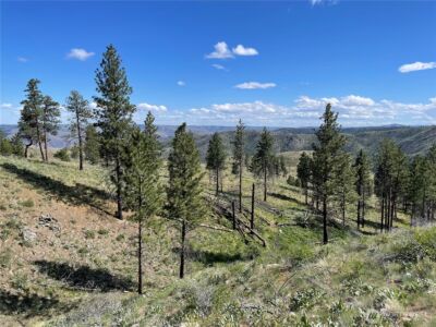 436 Antoine Creek Road #Lot E, Chelan, WA 98816 - Photo 16