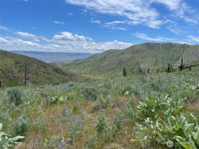 436 Antoine Creek Road #Lot E, Chelan, WA 98816 - Photo 2