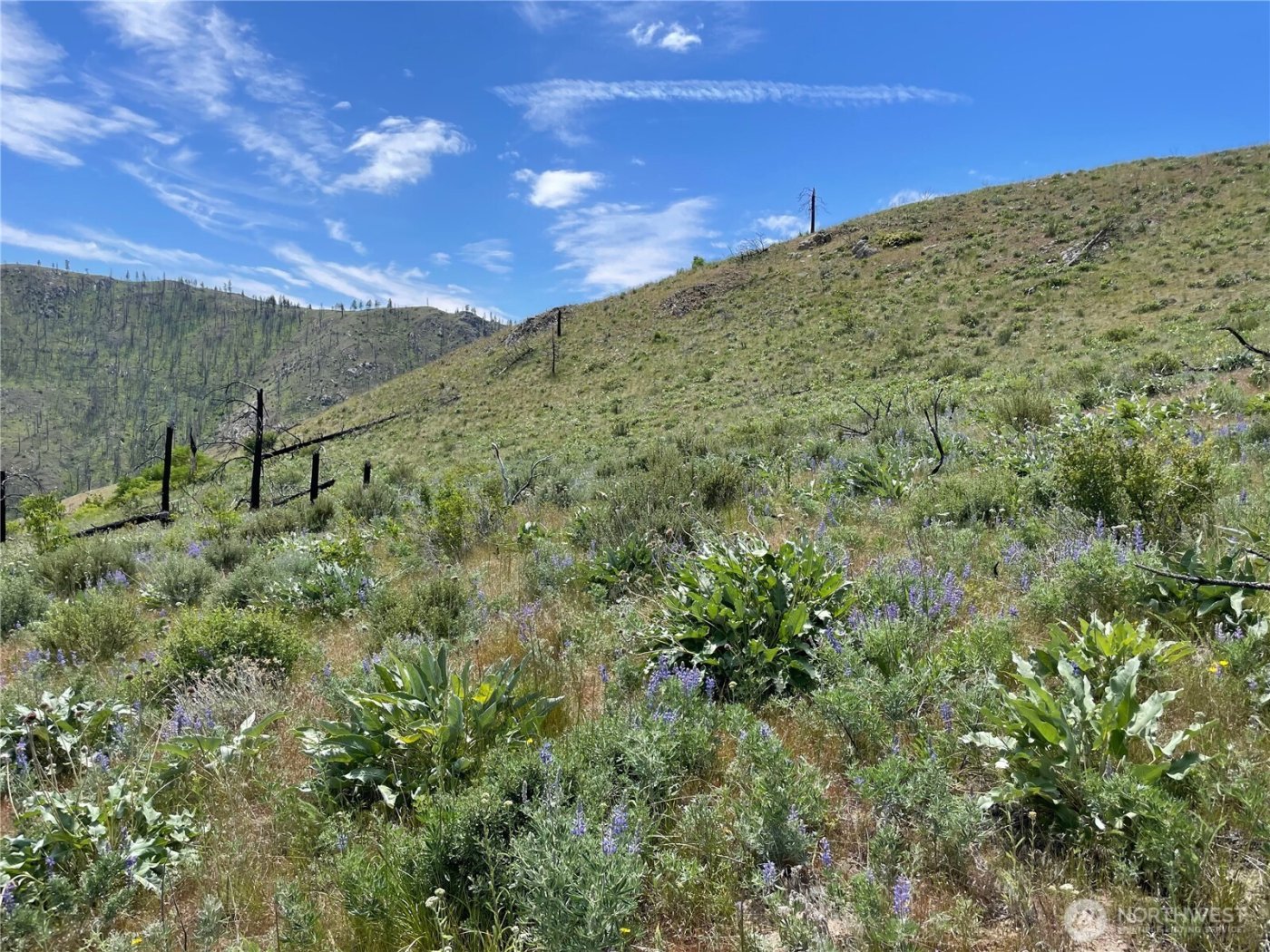 436 Antoine Creek Road #Lot E, Chelan, WA 98816