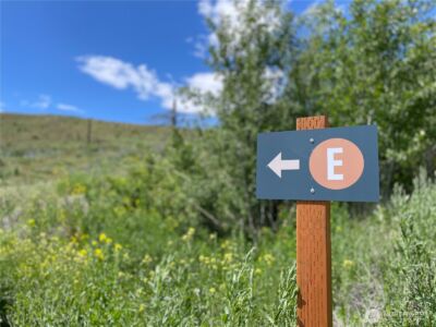 436 Antoine Creek Road #Lot E, Chelan, WA 98816 - Photo 5