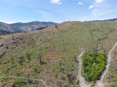 436 Antoine Creek Road #Lot E, Chelan, WA 98816 - Photo 6