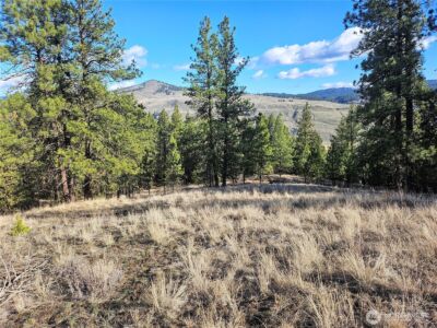 380 Lot Chopaka TBD Road , Tonasket, WA 98855