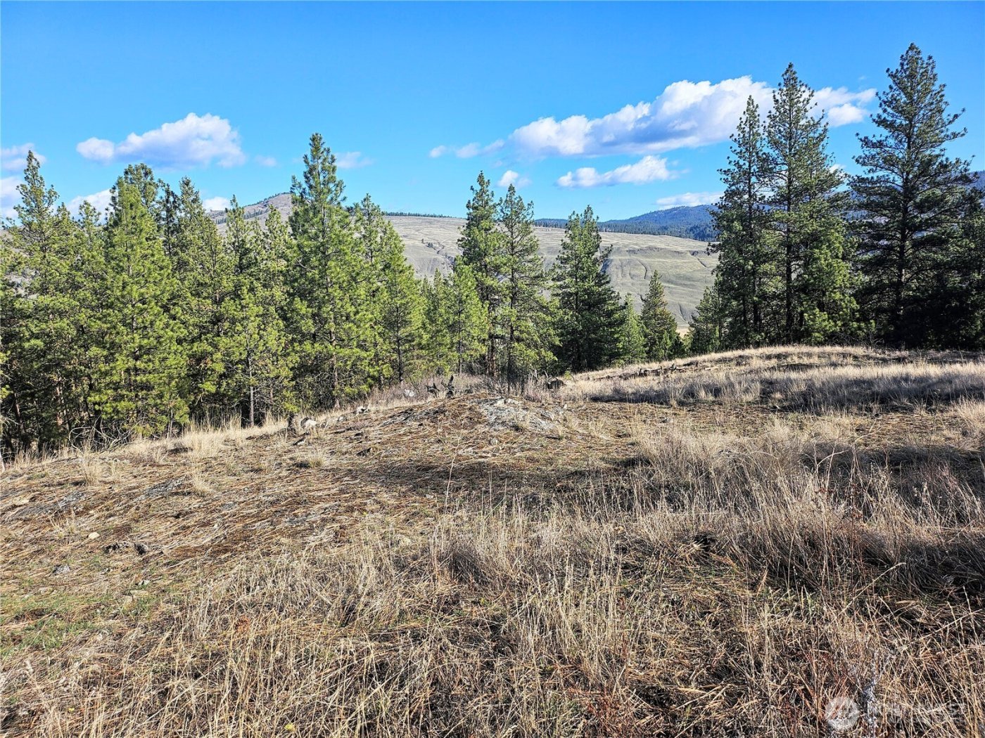 380 Lot Chopaka TBD Road , Tonasket, WA 98855