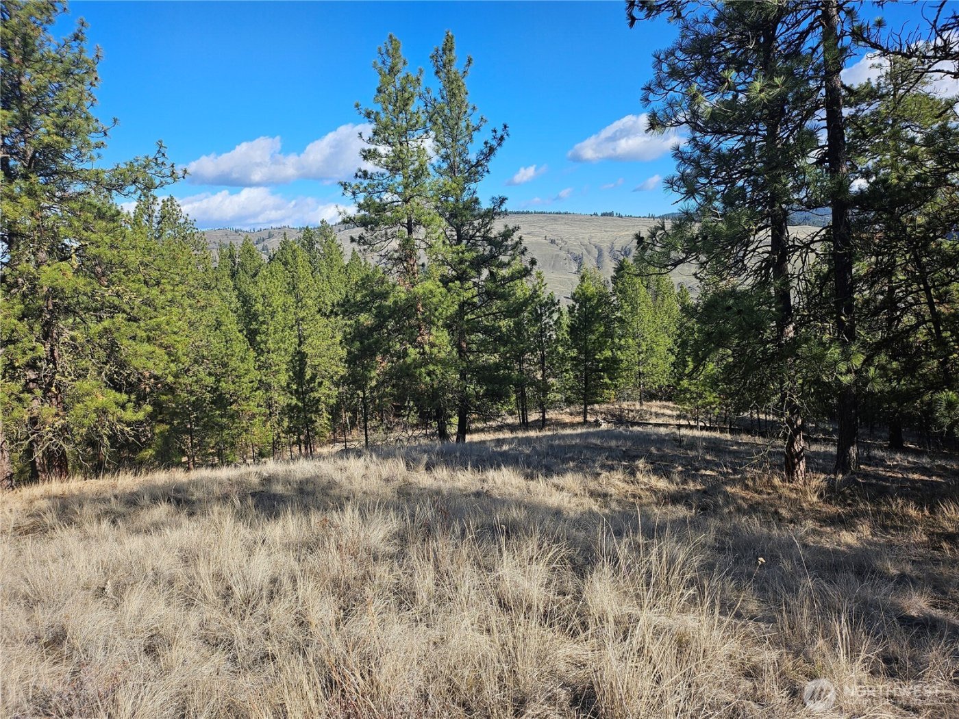 380 Lot Chopaka TBD Road , Tonasket, WA 98855