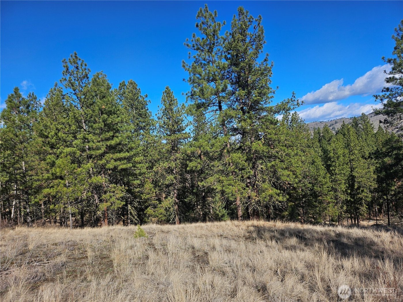 380 Lot Chopaka TBD Road , Tonasket, WA 98855