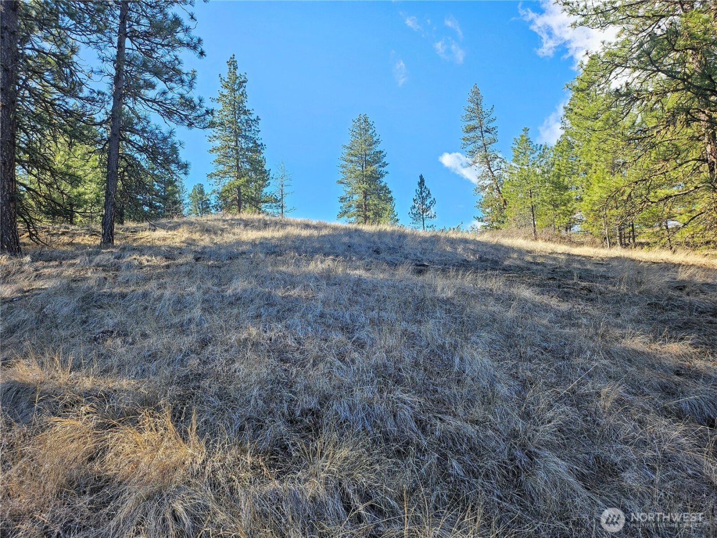 380 Lot Chopaka TBD Road , Tonasket, WA 98855