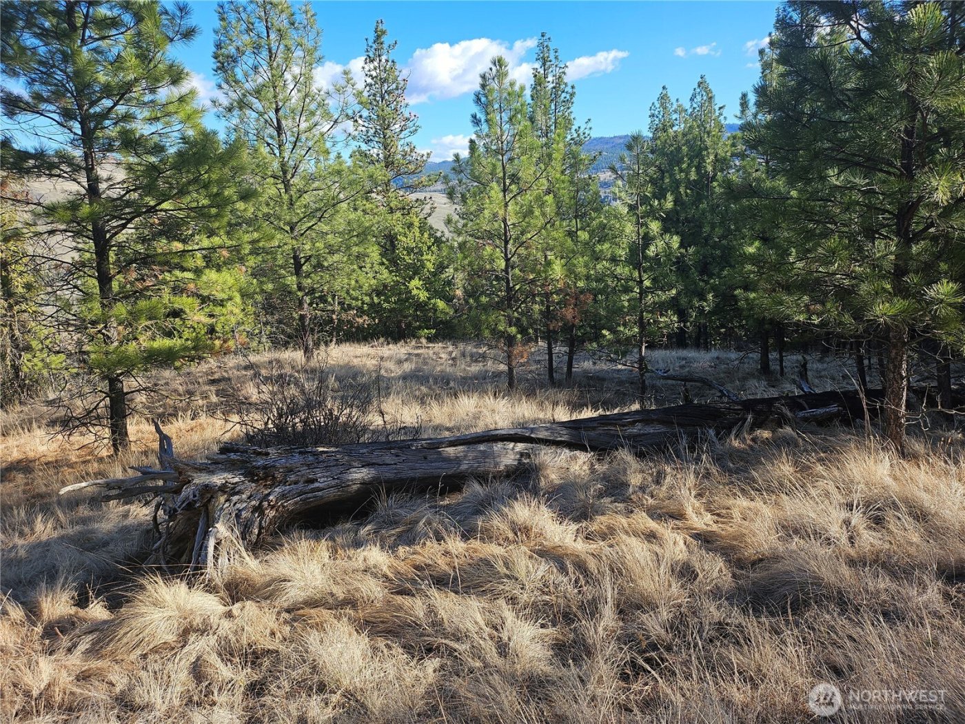 380 Lot Chopaka TBD Road , Tonasket, WA 98855