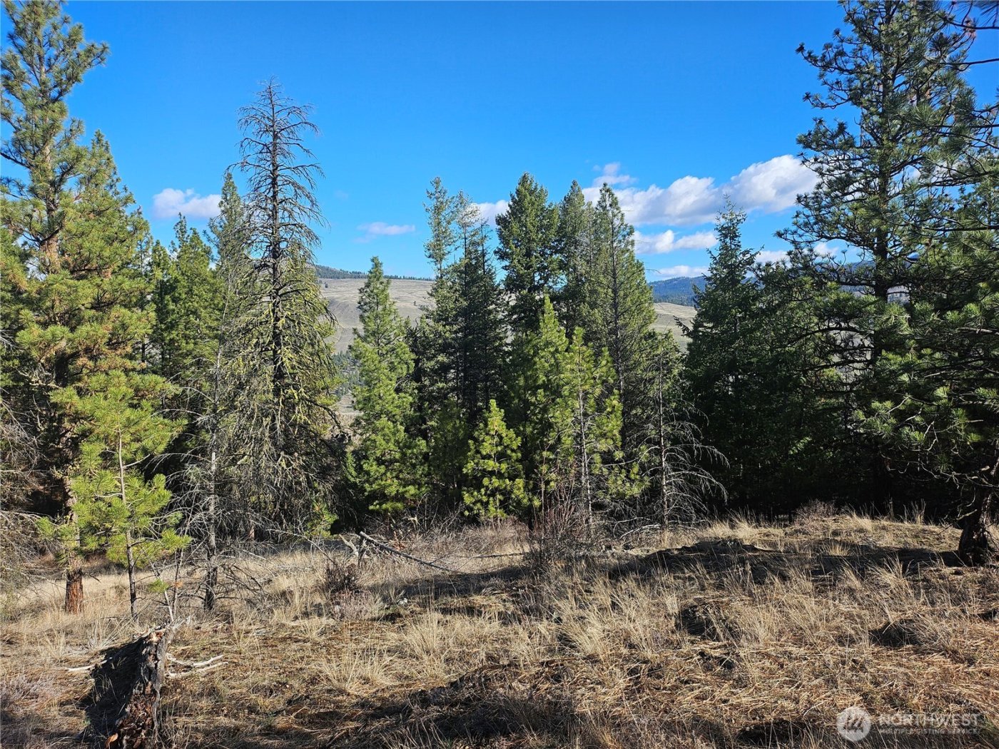 380 Lot Chopaka TBD Road , Tonasket, WA 98855