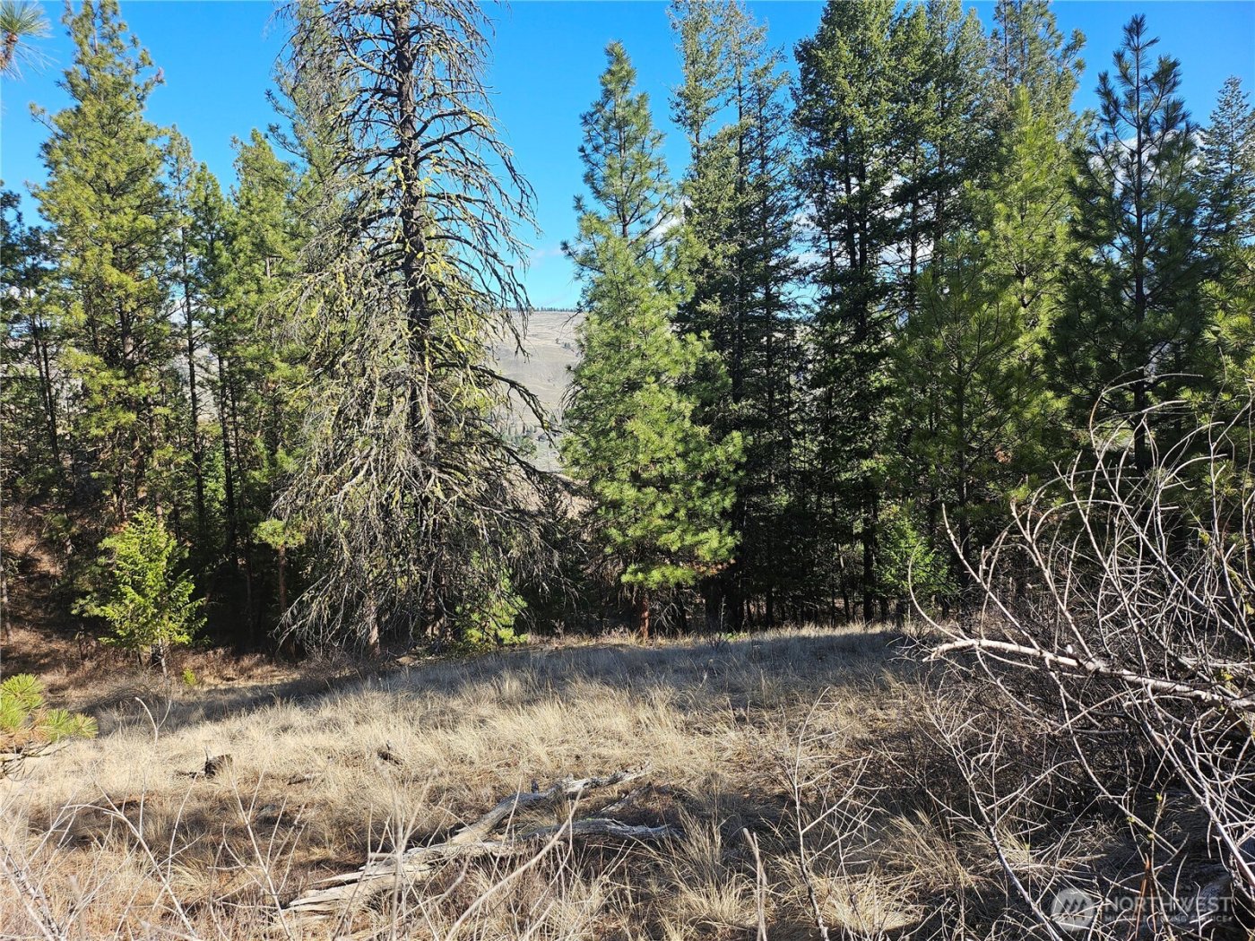 380 Lot Chopaka TBD Road , Tonasket, WA 98855