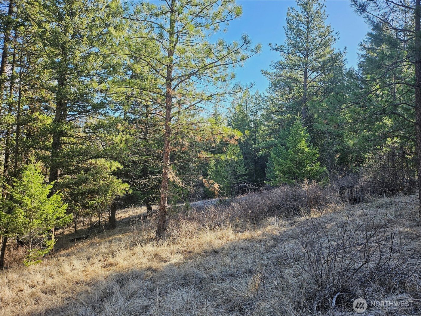 380 Lot Chopaka TBD Road , Tonasket, WA 98855