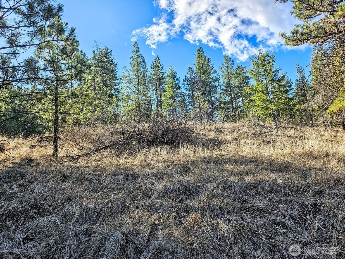 380 Lot Chopaka TBD Road , Tonasket, WA 98855