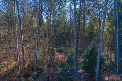 67 XX 258th Avenue NE, Redmond, WA 98053 - Photo 13