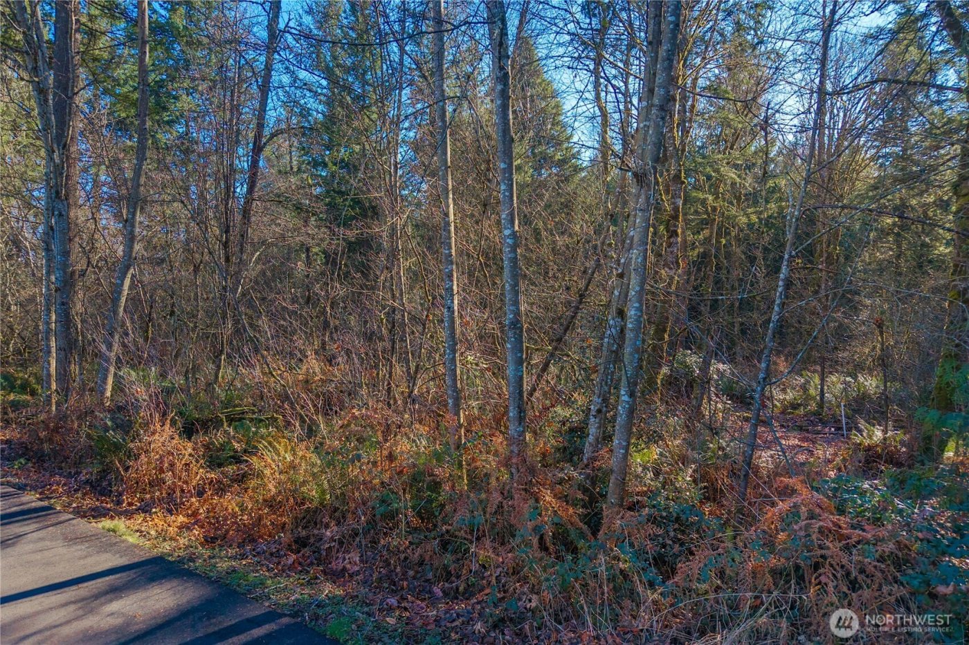 67 XX 258th Avenue NE, Redmond, WA 98053