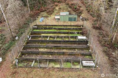 17612 219th Avenue E, Orting, WA 98360 - Photo 15