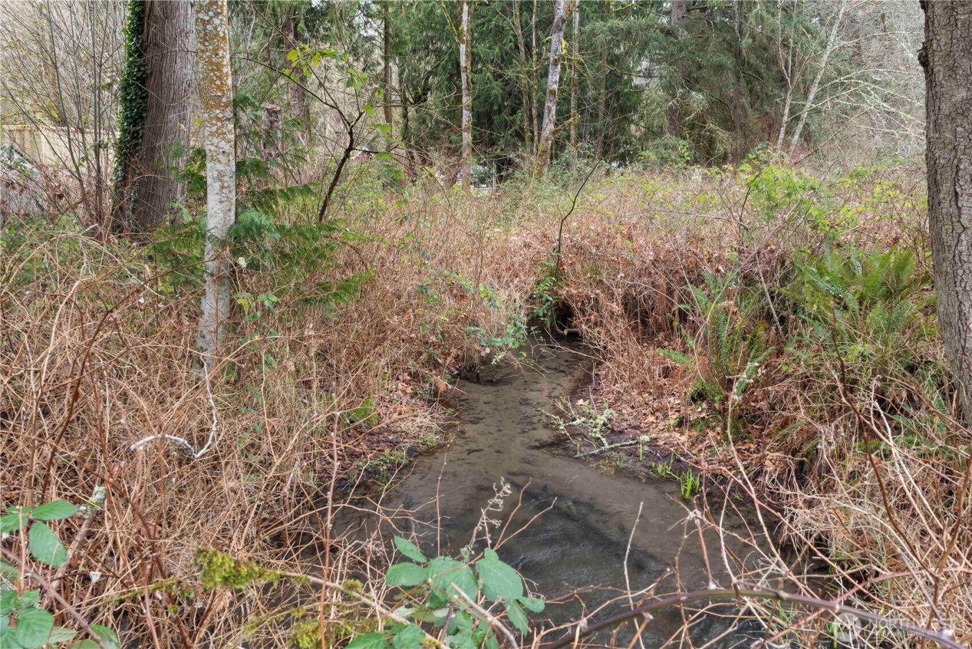 17612 219th Avenue E, Orting, WA 98360