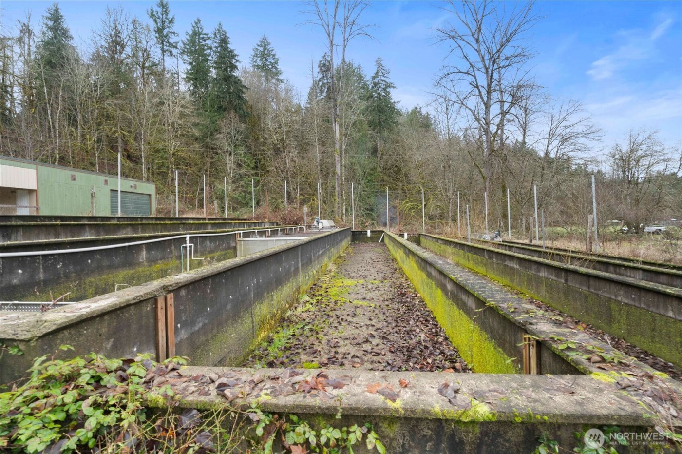 17612 219th Avenue E, Orting, WA 98360