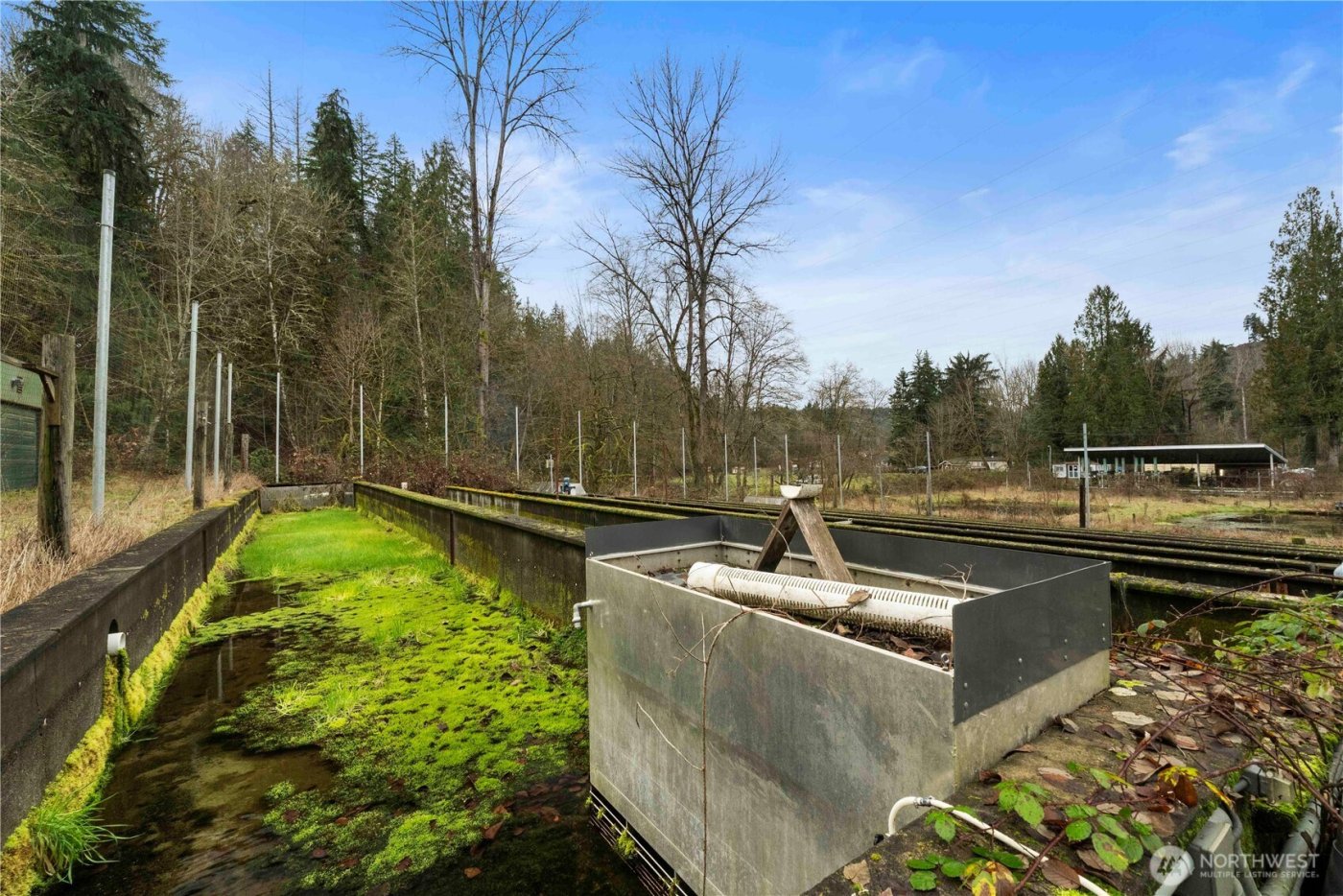 17612 219th Avenue E, Orting, WA 98360