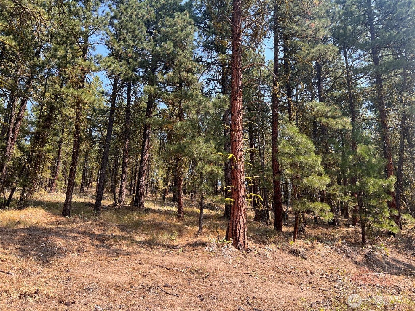 301 Sunrise Way , East Wenatchee, WA 98802