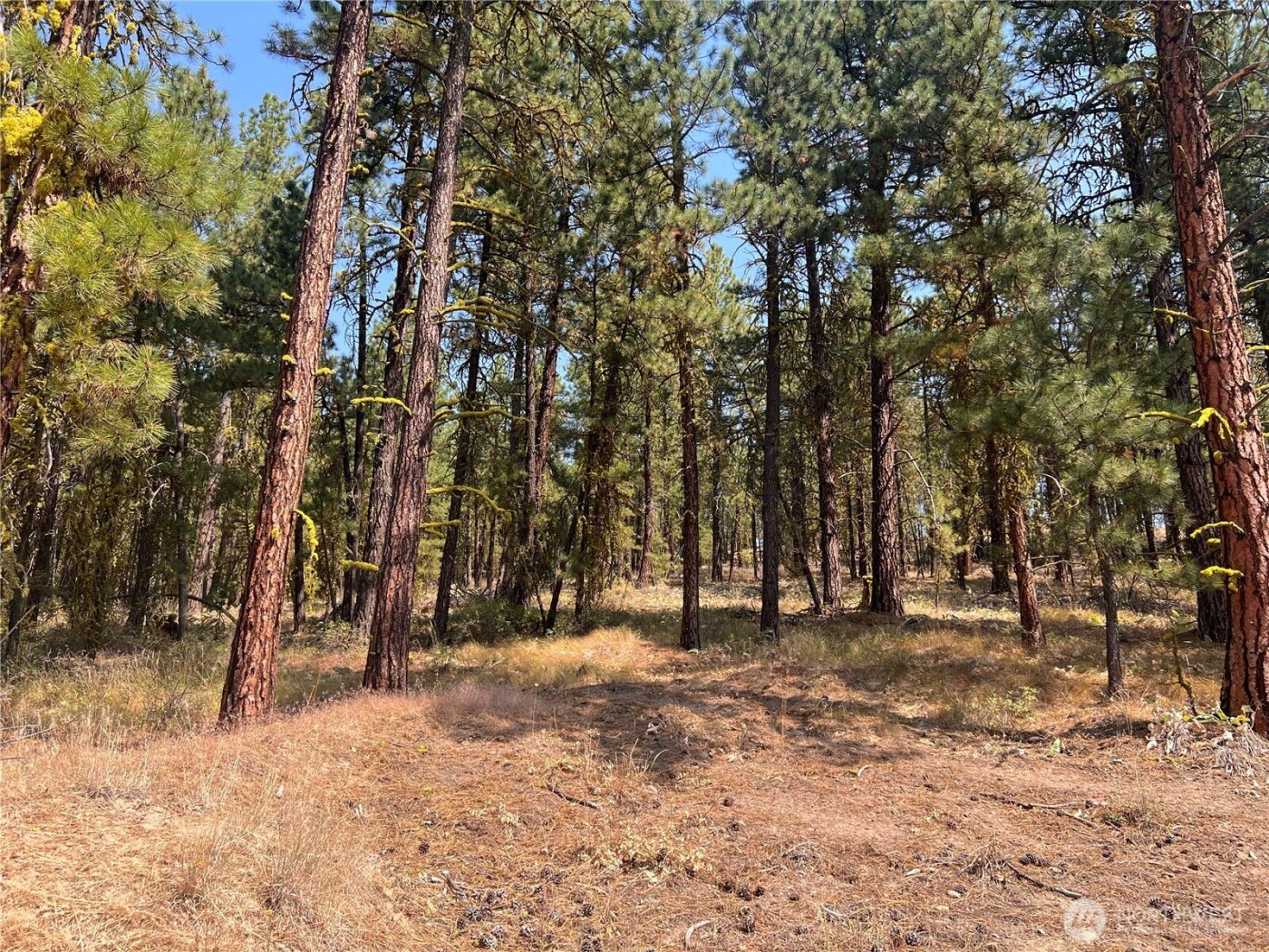 301 Sunrise Way , East Wenatchee, WA 98802