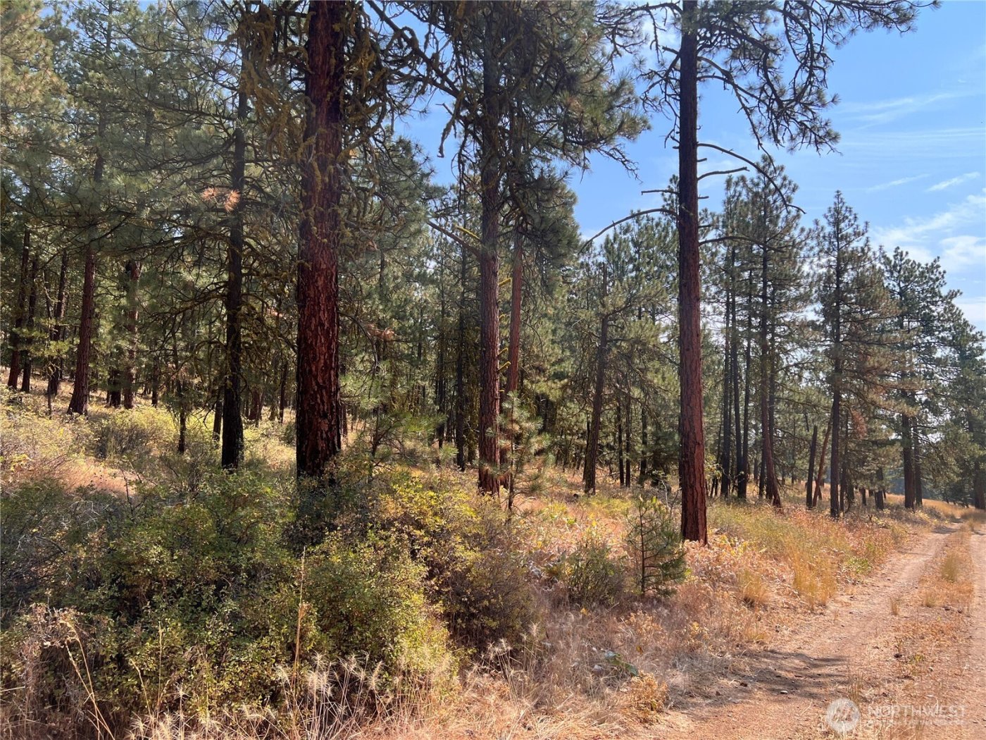 301 Sunrise Way , East Wenatchee, WA 98802