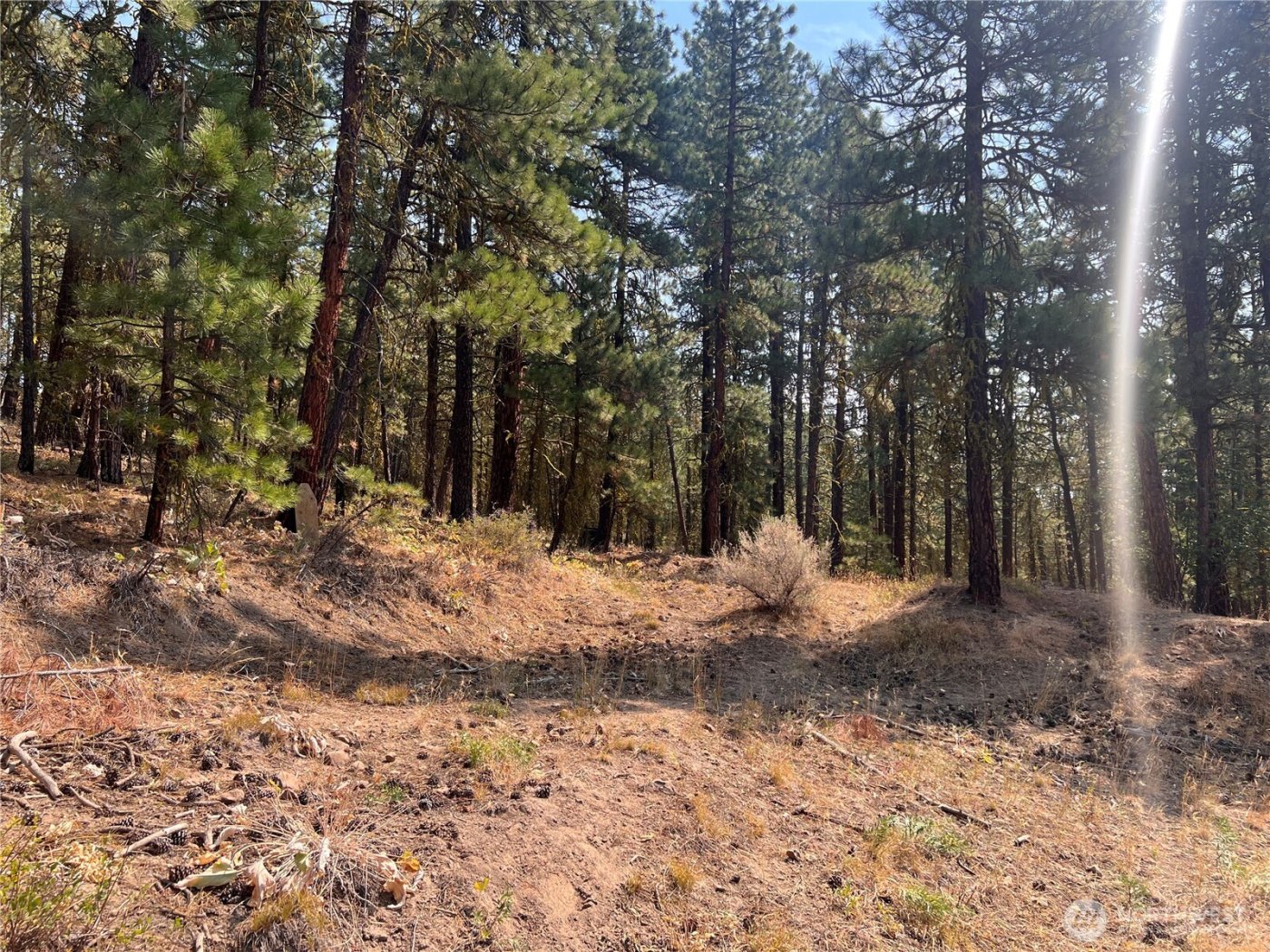 301 Sunrise Way , East Wenatchee, WA 98802