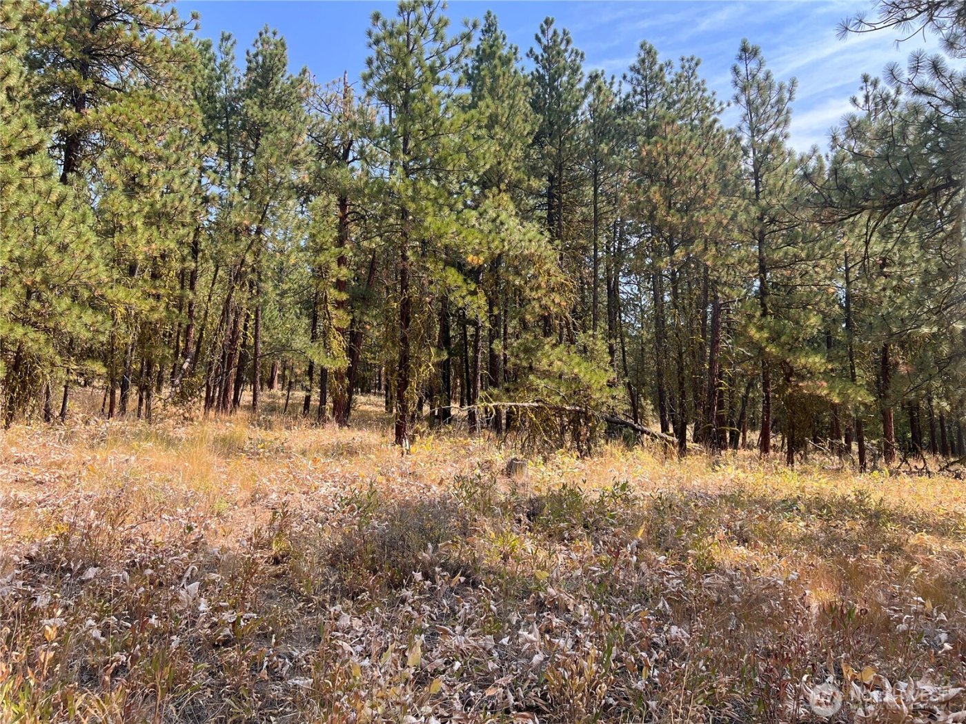 301 Sunrise Way , East Wenatchee, WA 98802