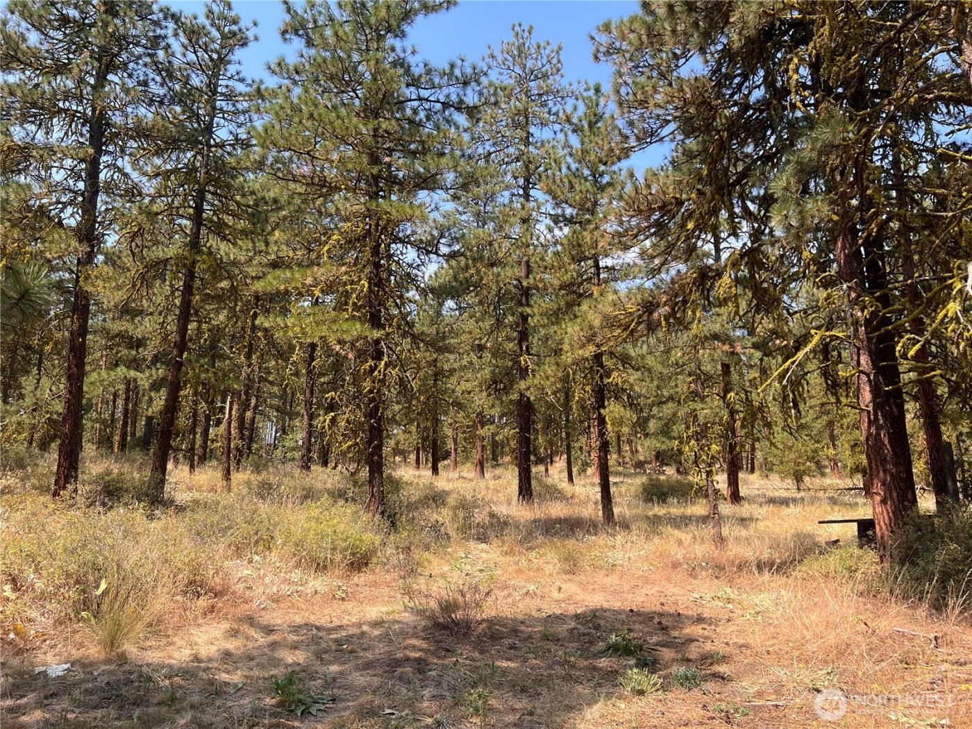 301 Sunrise Way , East Wenatchee, WA 98802