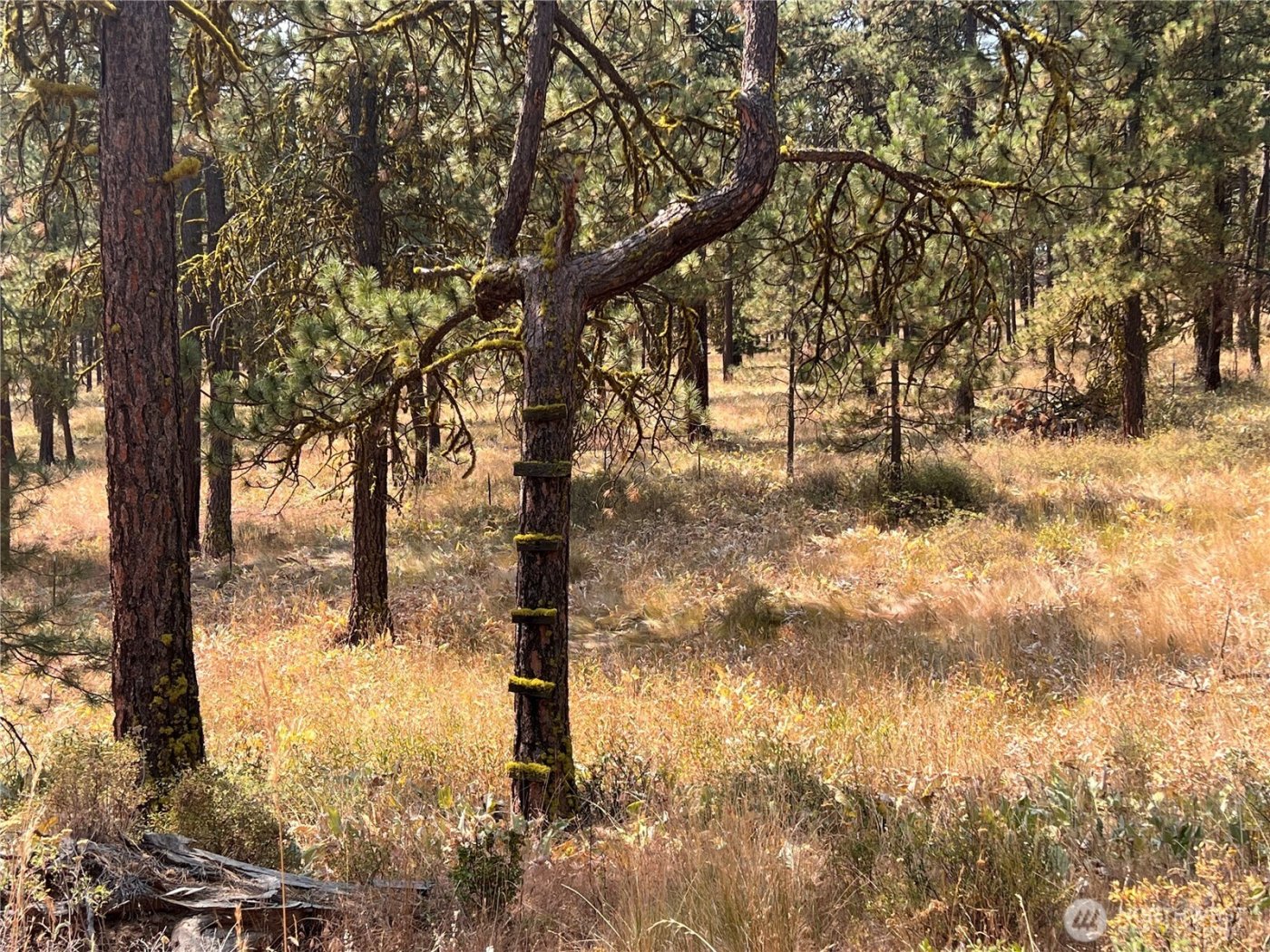 301 Sunrise Way , East Wenatchee, WA 98802